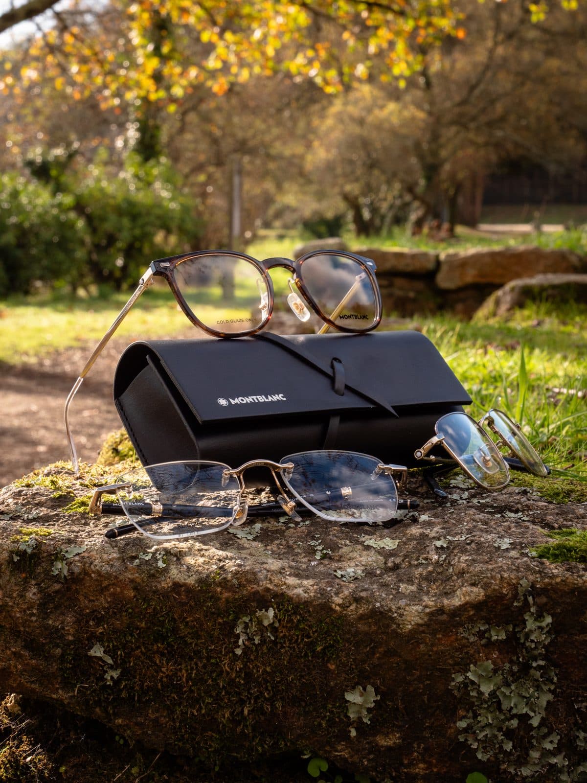Lunettes de vue et étui posés sur une pierre dans un jardin