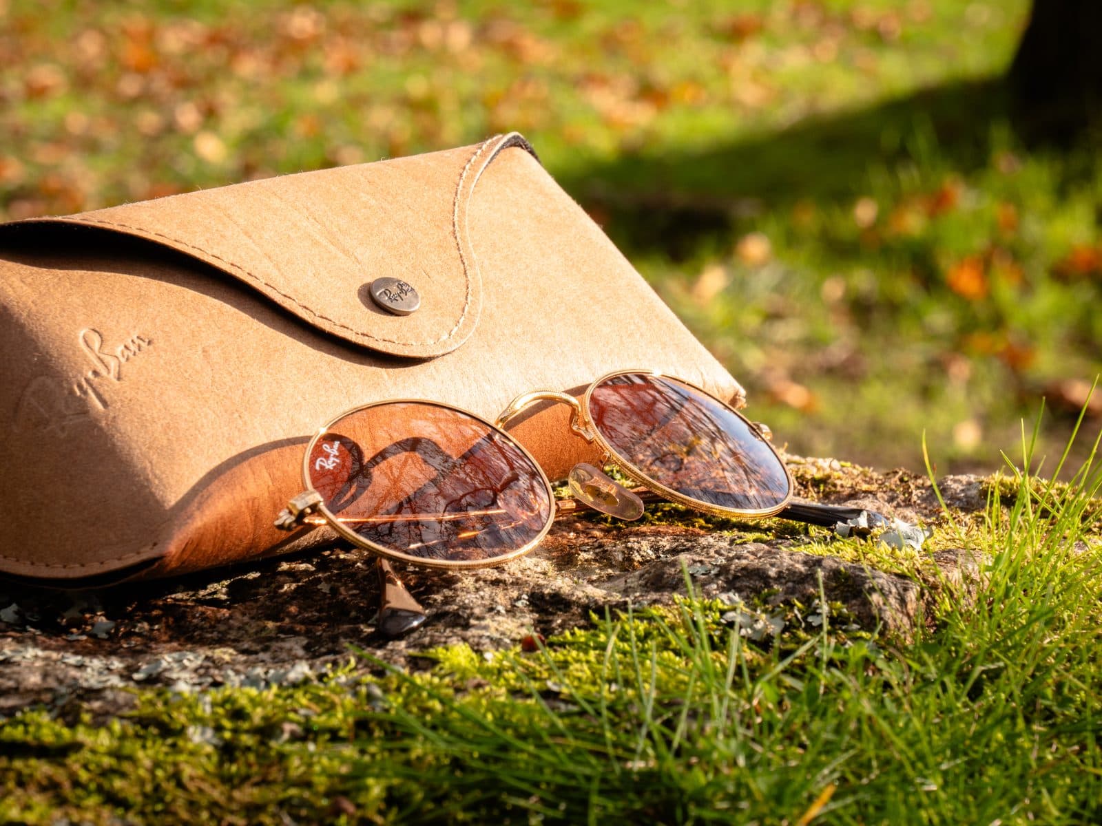 Lunettes de soleil posées sur leur étui dans l’herbe